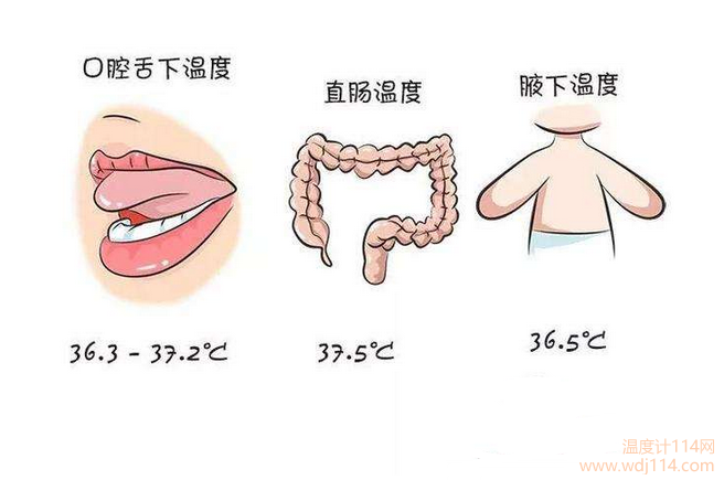 紅外線溫度計(jì)測哪較準(zhǔn)？