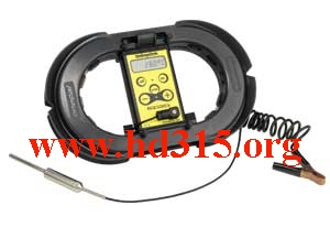 便攜式數字溫度計/電子數字式溫度計(瑞士,標配22.8米線纜報價)HH10-Onecal